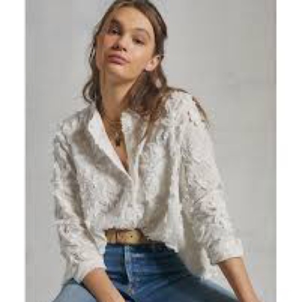 Pilcro and the Letterpress Anthropologie Whitney Embroidered Trapeze Buttondown